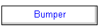 Bumper